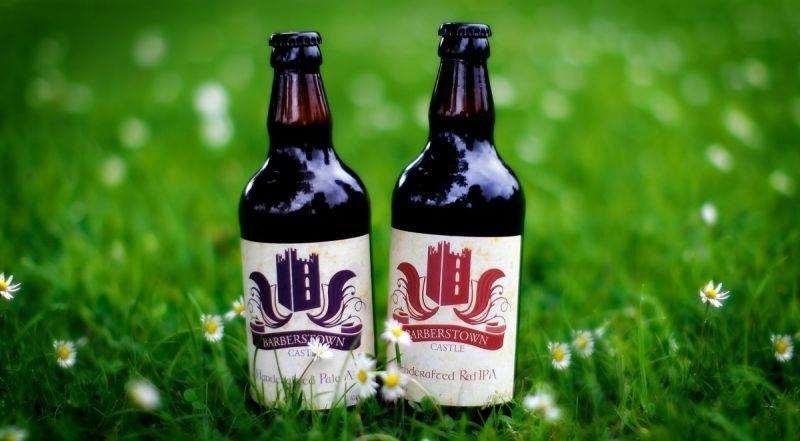 Hotel Barberstown Castle Straffan Amenities foto