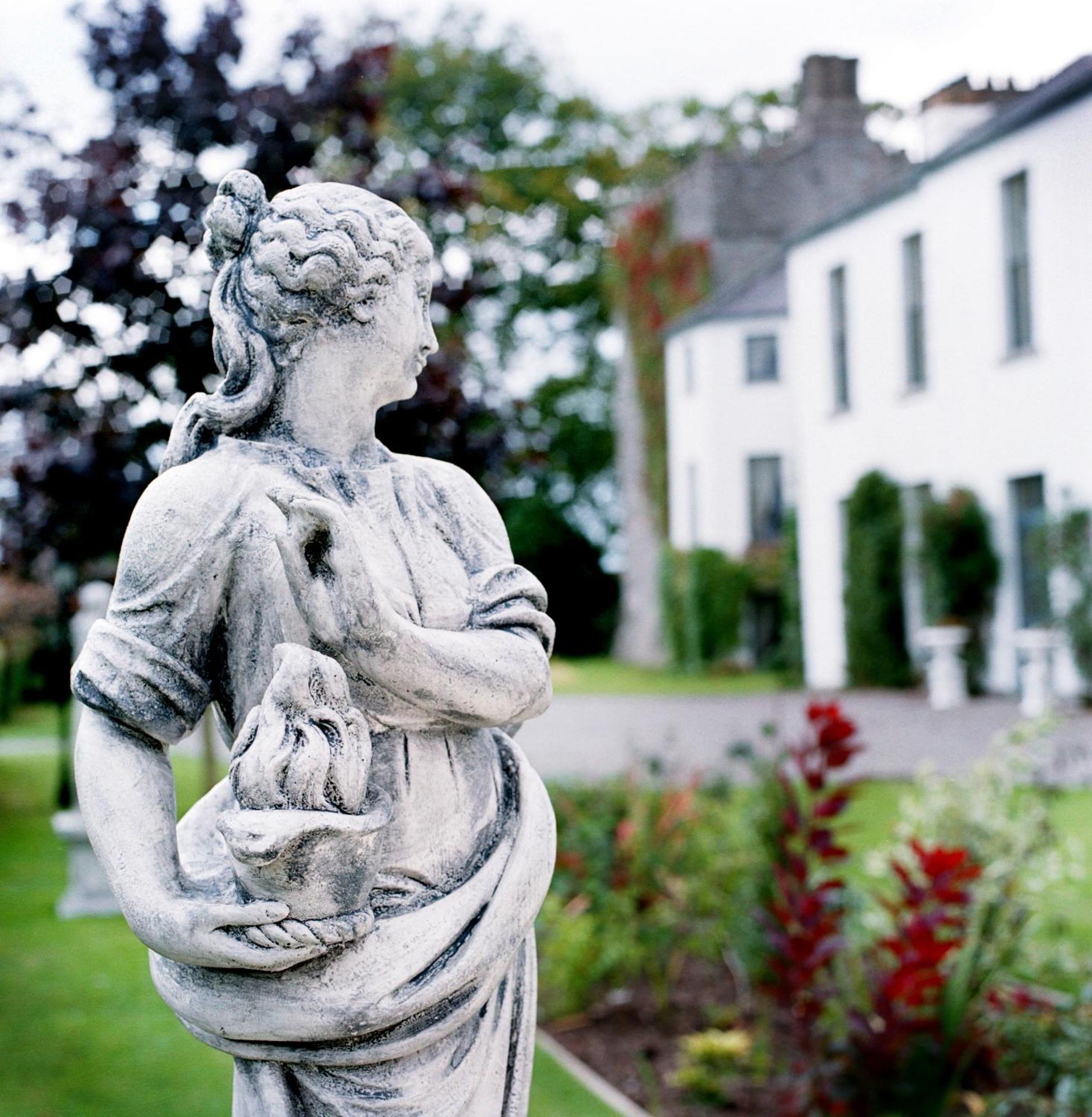 Hotel Barberstown Castle Straffan Esterno foto