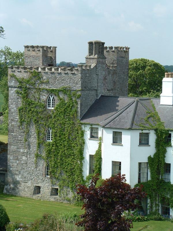 Hotel Barberstown Castle Straffan Esterno foto
